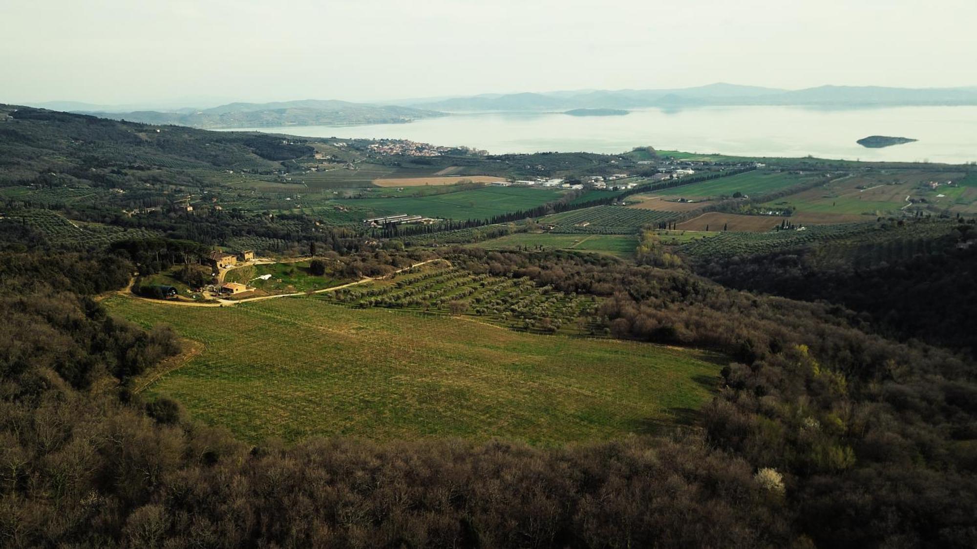 Di Colle In Colle - Agriturismo Passignano sul Trasimeno Exteriér fotografie